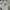 Polo Ralph Lauren Luxury Fleece Pria white black photo 2