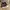 Converse Vintage Streetwear Sneakers Wanita gold black photo 4