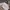 Polham Vintage Harrington jacket Pria cream photo 3