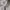 Spao Vintage Puffer jacket Wanita gray photo 3