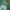 Vintage Leather jacket Wanita green photo 2