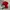 Polo Ralph Lauren Luxury Polo shirt Pria red black photo 1