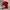 Polo Ralph Lauren Luxury Polo Shirt Pria Red Black