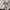 GAP Streetwear Y2K Hoody Pria gray photo 5