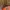 Gosh Casual Handbag Wanita orange photo 6