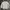 Hangten Streetwear Casual Casual Shirt Pria White