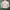 Uniqlo Streetwear Casual Casual Shirt Pria Pink