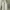 Streetwear Sportswear Windbreaker Pria white gray photo 1
