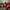 Vintage Casual Sweater Pria Multicolor Red