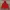 WHO.A.U Casual Hoody Pria red photo 2