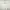 thisisneverthat Sportswear Casual Sweatshirt Pria white photo 1