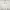 Thisisneverthat Sportswear Casual Sweatshirt Pria White