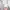thisisneverthat Sportswear Casual Sweatshirt Pria white photo 4