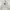 Pancoat Sportswear Casual Sweatshirt Pria gray photo 1
