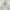 Pancoat Sportswear Casual Sweatshirt Pria Gray