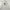 Pancoat Sportswear Casual Sweatshirt Pria gray photo 7