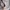 Pancoat Sportswear Casual Sweatshirt Pria gray photo 4