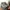 New Balance Sportswear Sneakers Pria gray photo 1