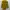 Casual Crop top Wanita yellow photo 2