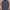 Adidas Streetwear Hoody Pria Multicolor Gray