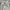 Sportswear Windbreaker Pria gray photo 6