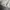 Sportswear Windbreaker Pria gray photo 7
