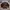Crocodile Vintage Casual Sweater Pria Multicolor Brown