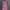 H&M Casual Cami top Wanita pink photo 1