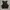 Shein Casual Cami top Wanita black photo 2