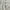 Avant Garde Coquette Prom dress Wanita white photo 2