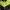 Nike Sportswear Leather Jacket Pria Green Black