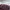 Michael Kors Casual Handbag Wanita burgundy photo 3