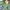 Japanese brand Vintage Bomber jacket Pria green photo 7