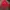 Adidas Casual Track jacket Pria red photo 1