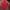 Adidas Casual Track Jacket Pria Red