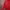 Adidas Casual Track jacket Pria red photo 2