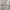 Nike Air Jordan Vintage Hoody Pria gray photo 2