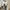 Nike Air Jordan Vintage Hoody Pria gray photo 7