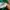 GAP Vintage Y2K Fleece Pria green photo 6