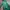 GAP Vintage Y2K Fleece Pria green photo 5