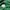 GAP Vintage Y2K Fleece Pria green photo 3
