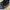 Converse Streetwear Sneakers Pria black photo 1