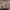 Carhartt Vintage Y2K Fleece Pria brown photo 3