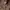 Carhartt Vintage Y2K Fleece Pria brown photo 6
