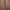 Carhartt Vintage Y2K Fleece Pria brown photo 4