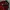 Adidas Casual Track Jacket Pria Navy Red