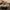 Converse Vintage Sneakers Pria brown photo 4