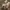 Converse Vintage Sneakers Pria brown photo 8