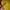 Polo Ralph Lauren Streetwear Luxury Fleece Pria yellow photo 6