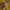 Polo Ralph Lauren Streetwear Luxury Fleece Pria yellow photo 7